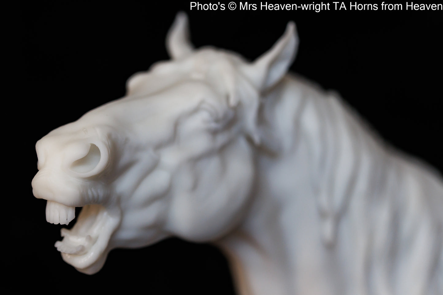 Suffolk Punch Neighing - white resin - ready to prep / paint - many options