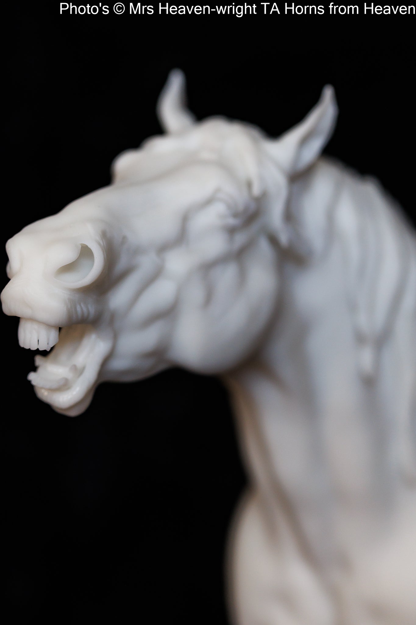 Suffolk Punch Neighing - white resin - ready to prep / paint - many options