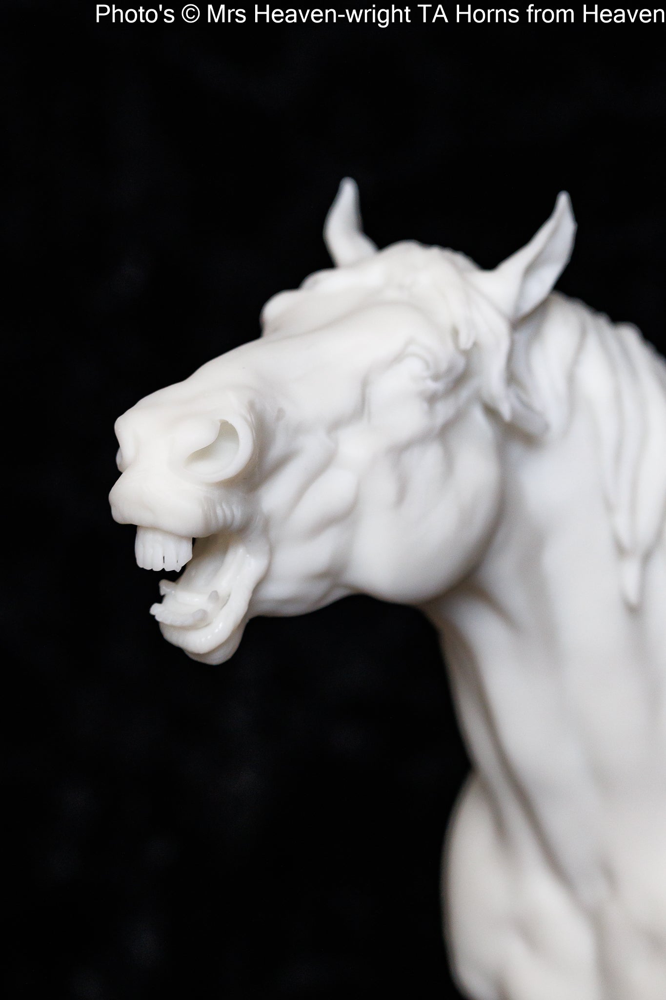 Suffolk Punch Neighing - white resin - ready to prep / paint - many options