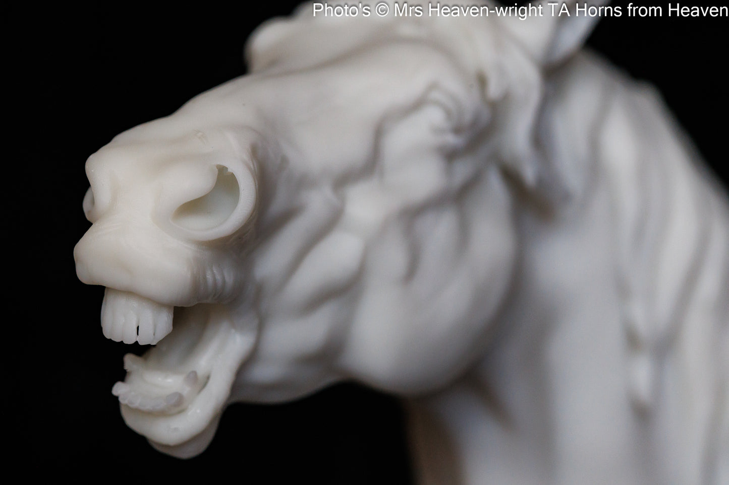 Suffolk Punch Neighing - white resin - ready to prep / paint - many options