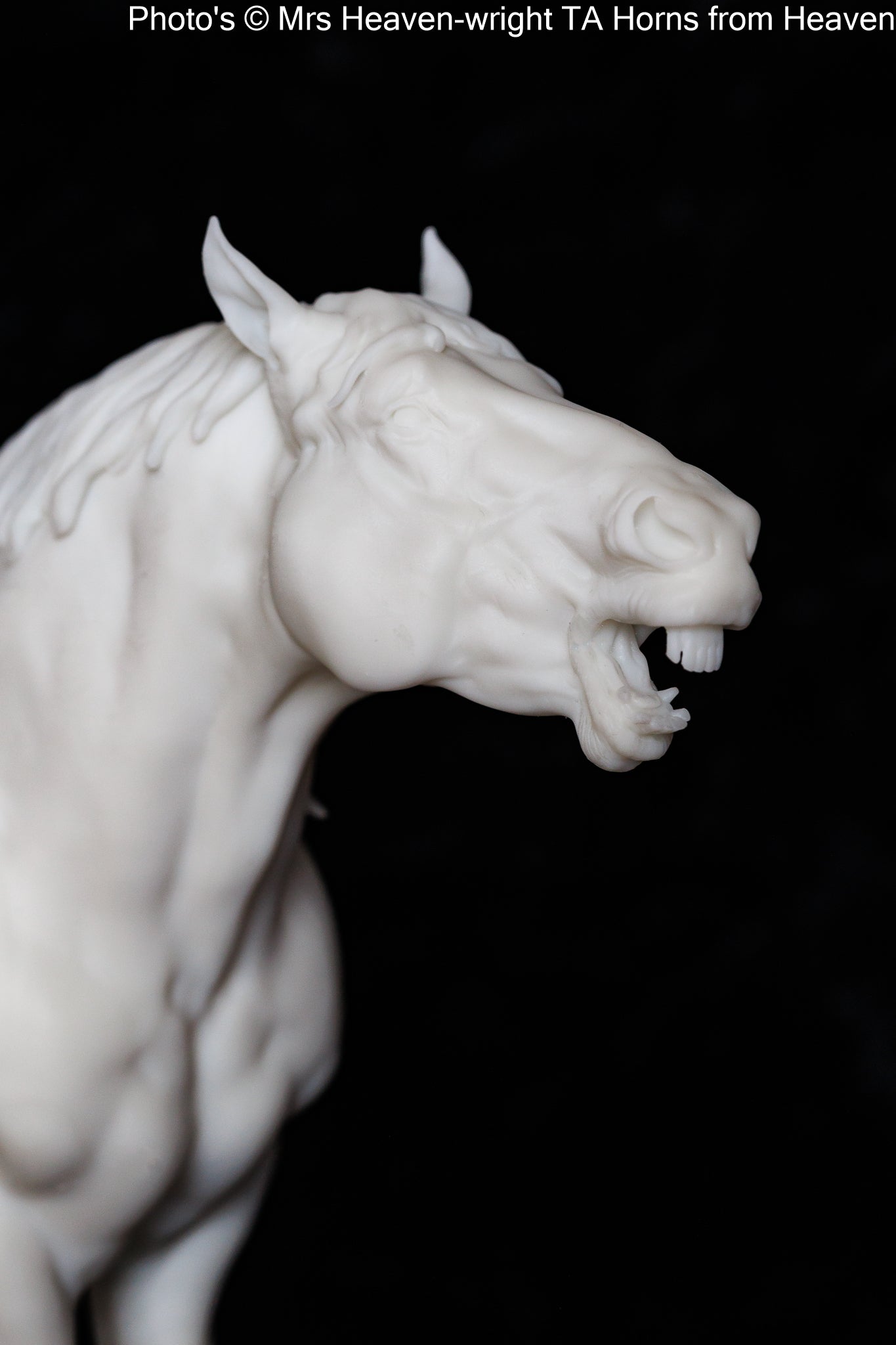 Suffolk Punch Neighing - white resin - ready to prep / paint - many options