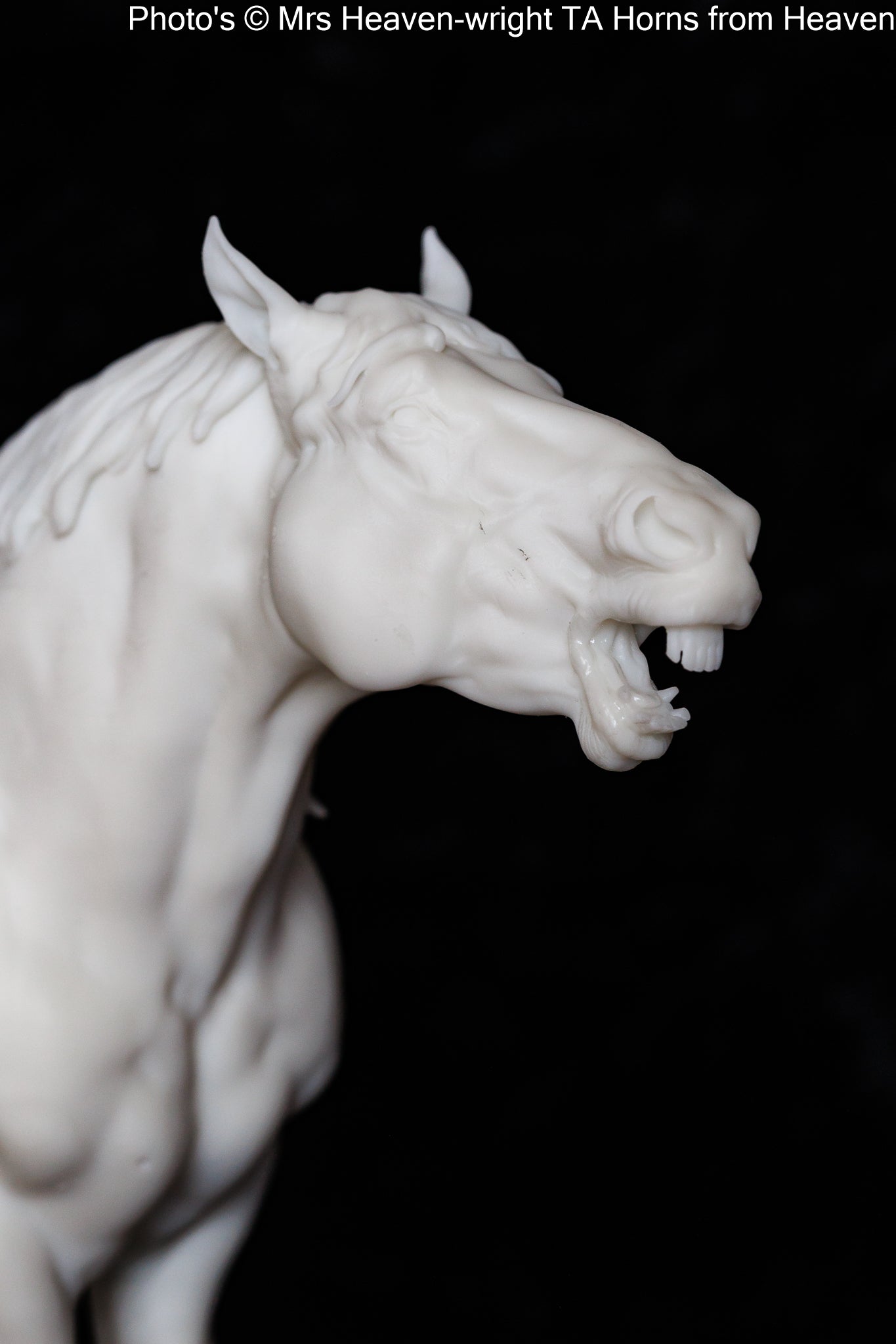 Suffolk Punch Neighing - white resin - ready to prep / paint - many options