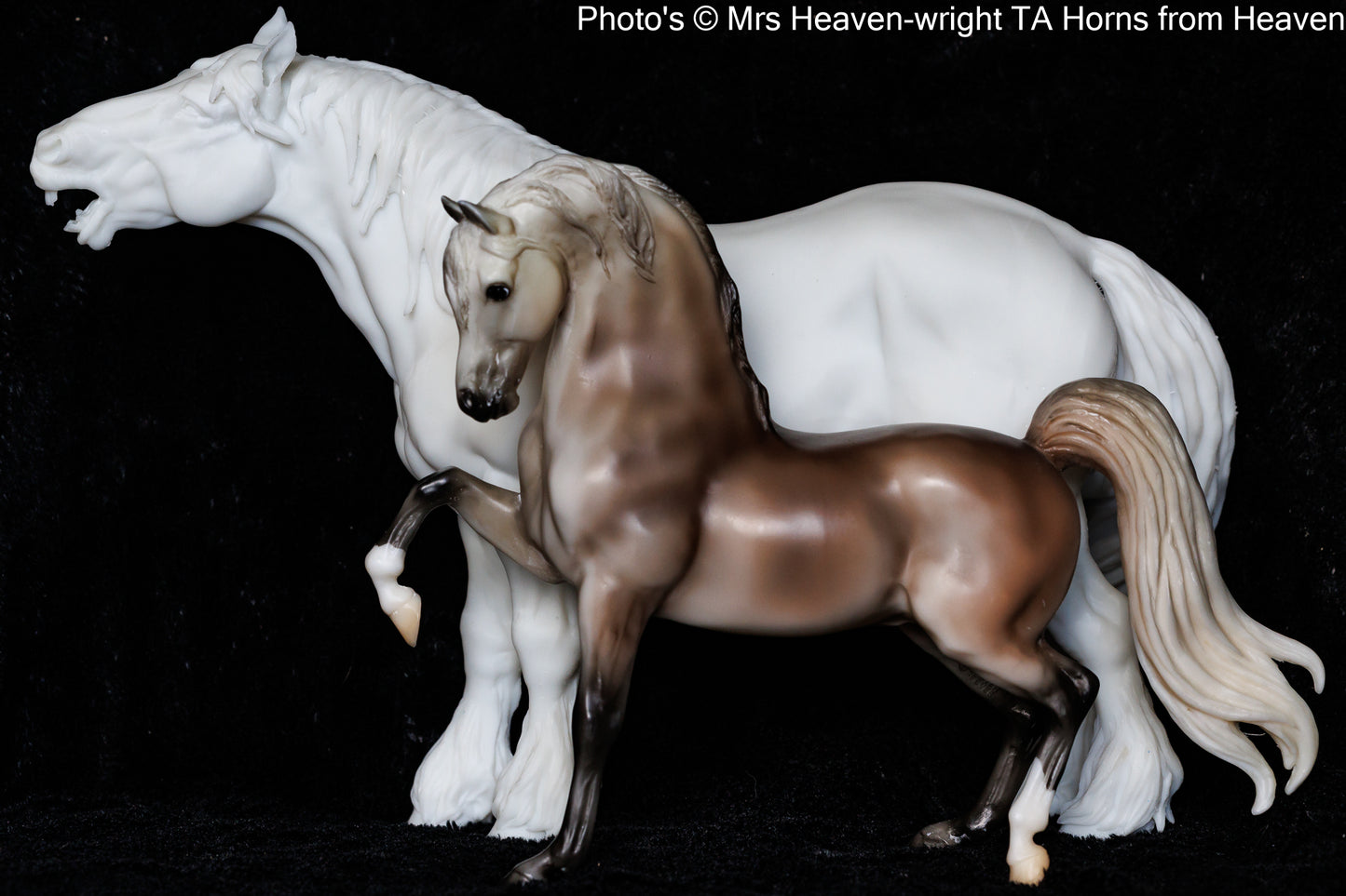 Suffolk Punch Neighing - white resin - ready to prep / paint - many options