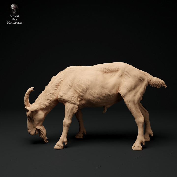 Alpine goat artist resin - white resin ready to prep / paint ALL SCALES