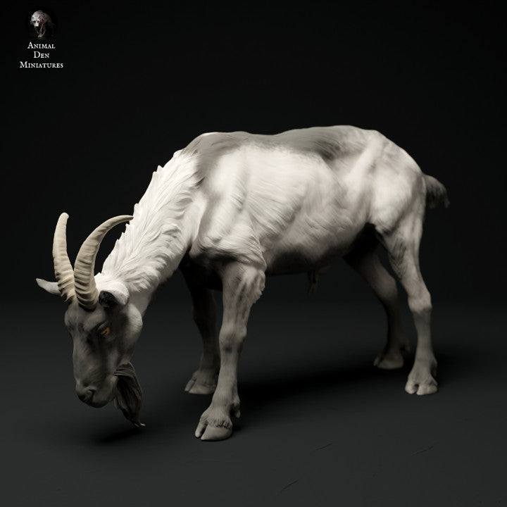 Alpine goat artist resin - white resin ready to prep / paint ALL SCALES