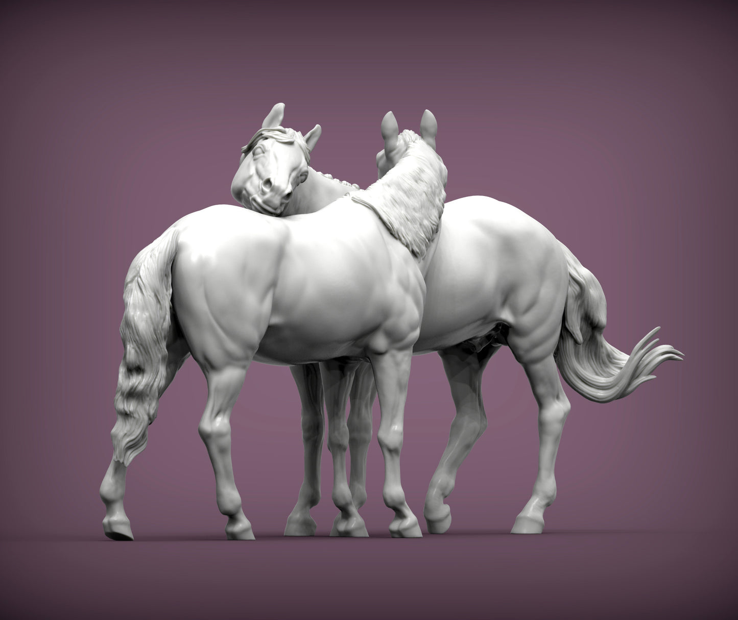 Horses in love pair