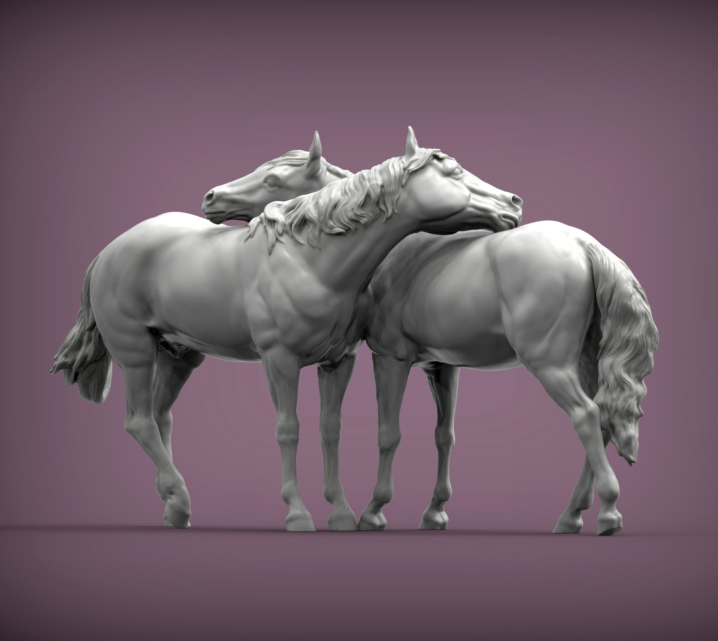 Horses in love pair