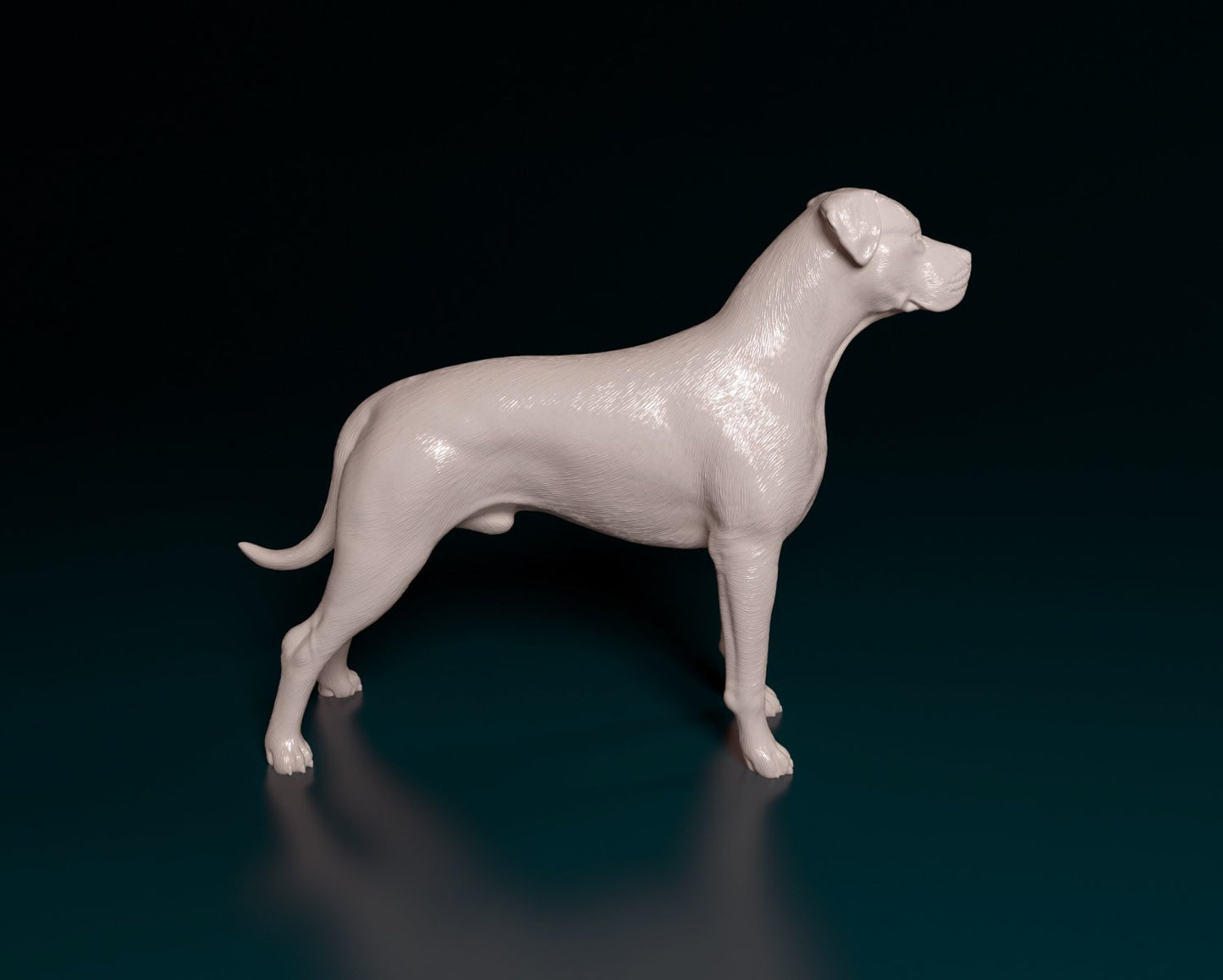 Dogo argentino artist resin - white resin ready to prep / paint ALL SCALES