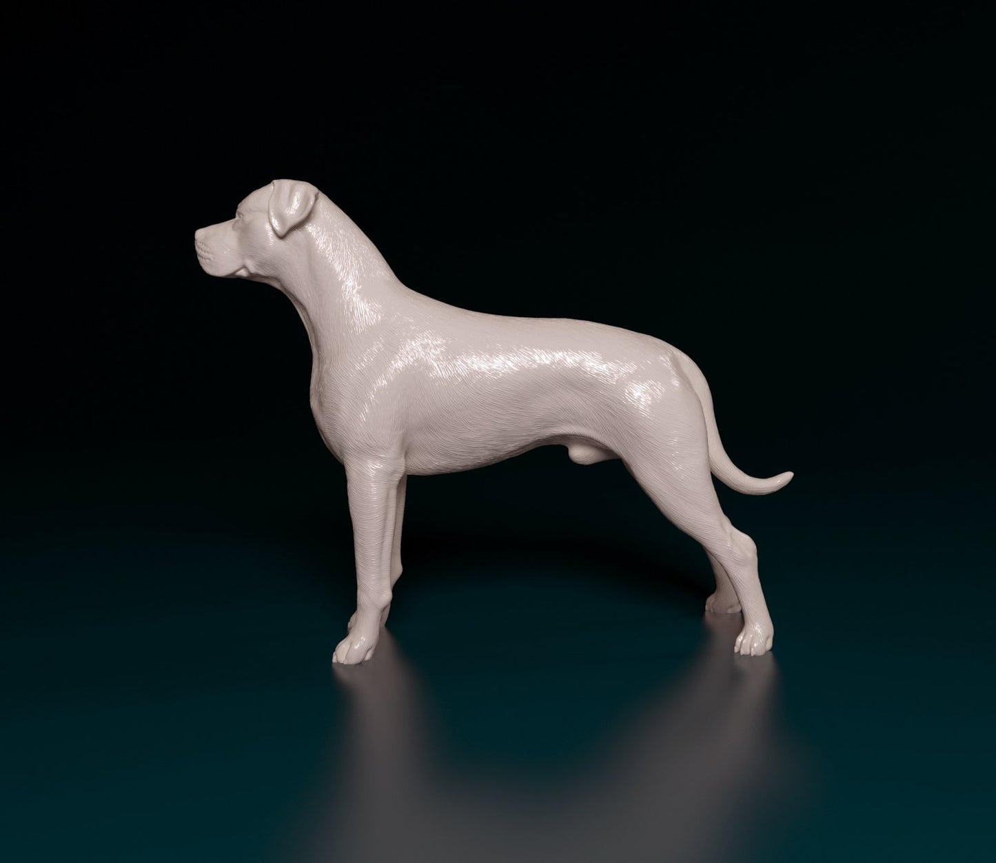 Dogo argentino artist resin - white resin ready to prep / paint ALL SCALES