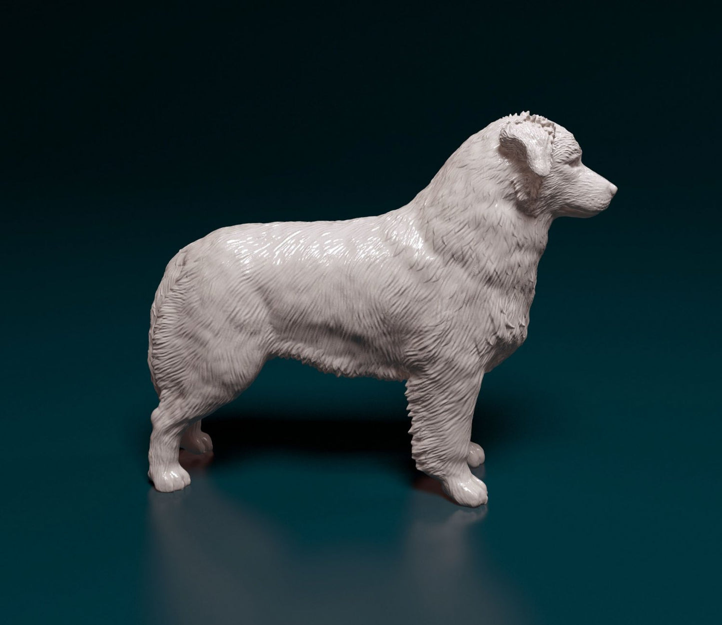 Australian shepherd artist resin - white resin ready to prep / paint ALL SCALES
