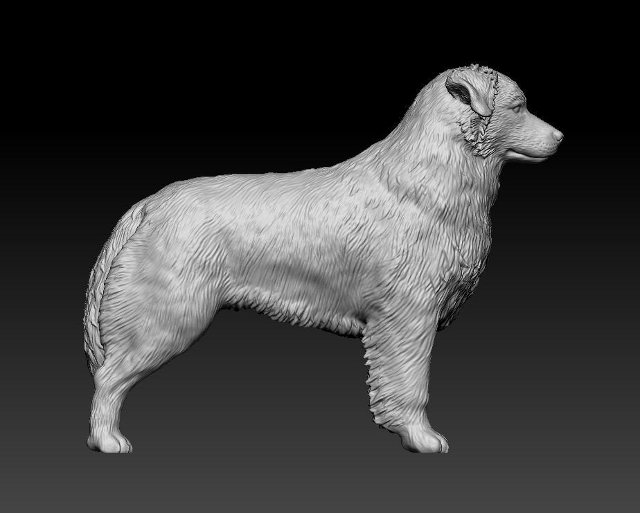 Australian shepherd artist resin - white resin ready to prep / paint ALL SCALES