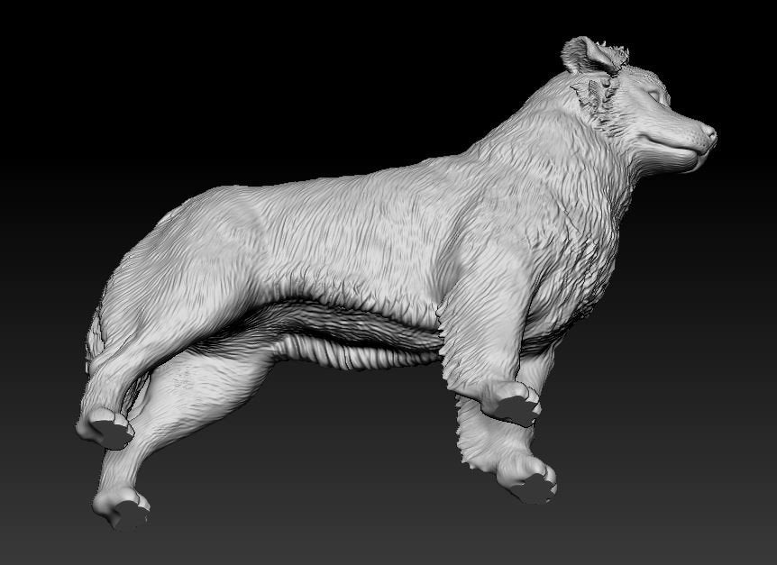 Australian shepherd artist resin - white resin ready to prep / paint ALL SCALES