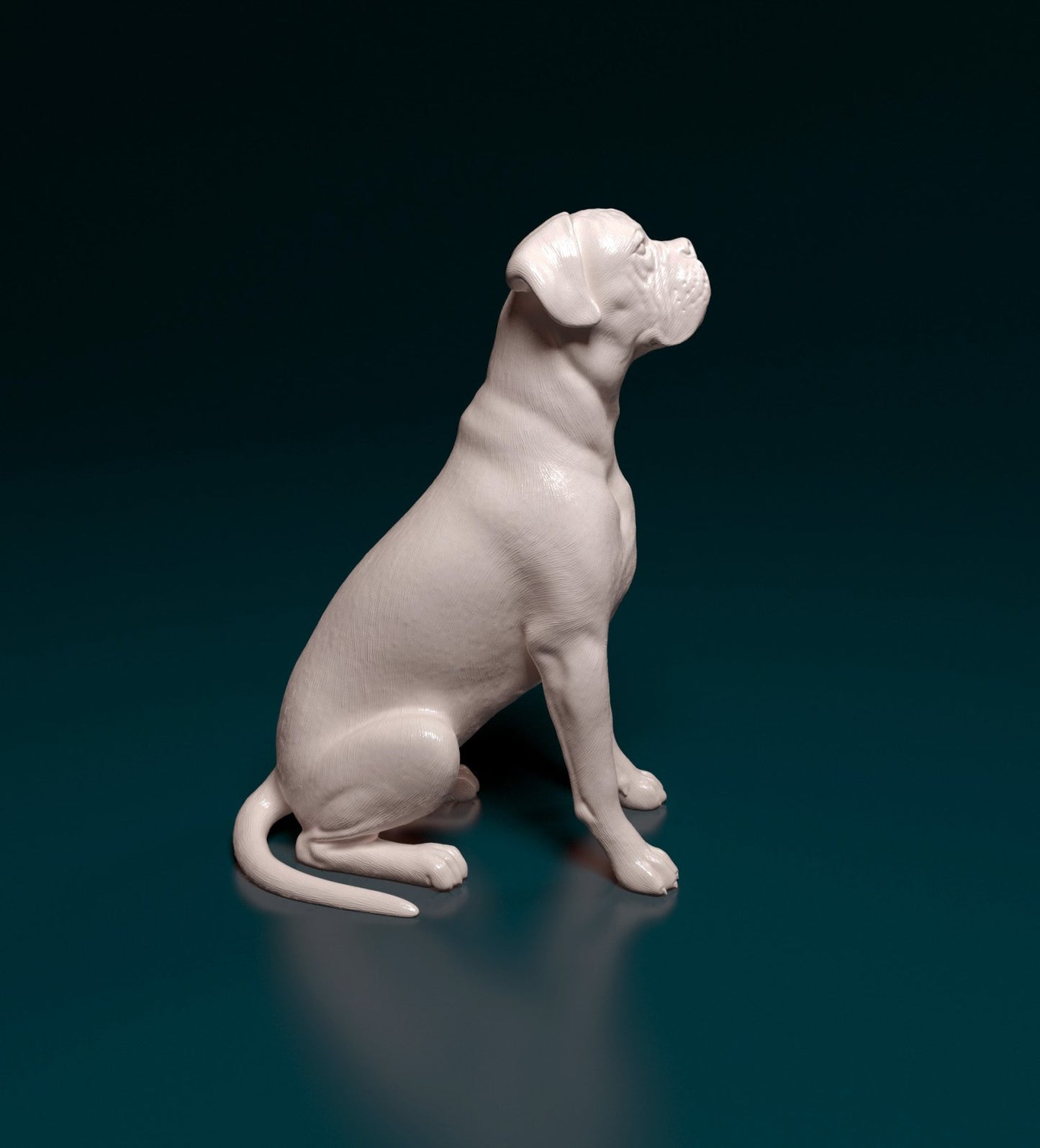 Boxer sitting artist resin - white resin ready to prep / paint ALL SCALES