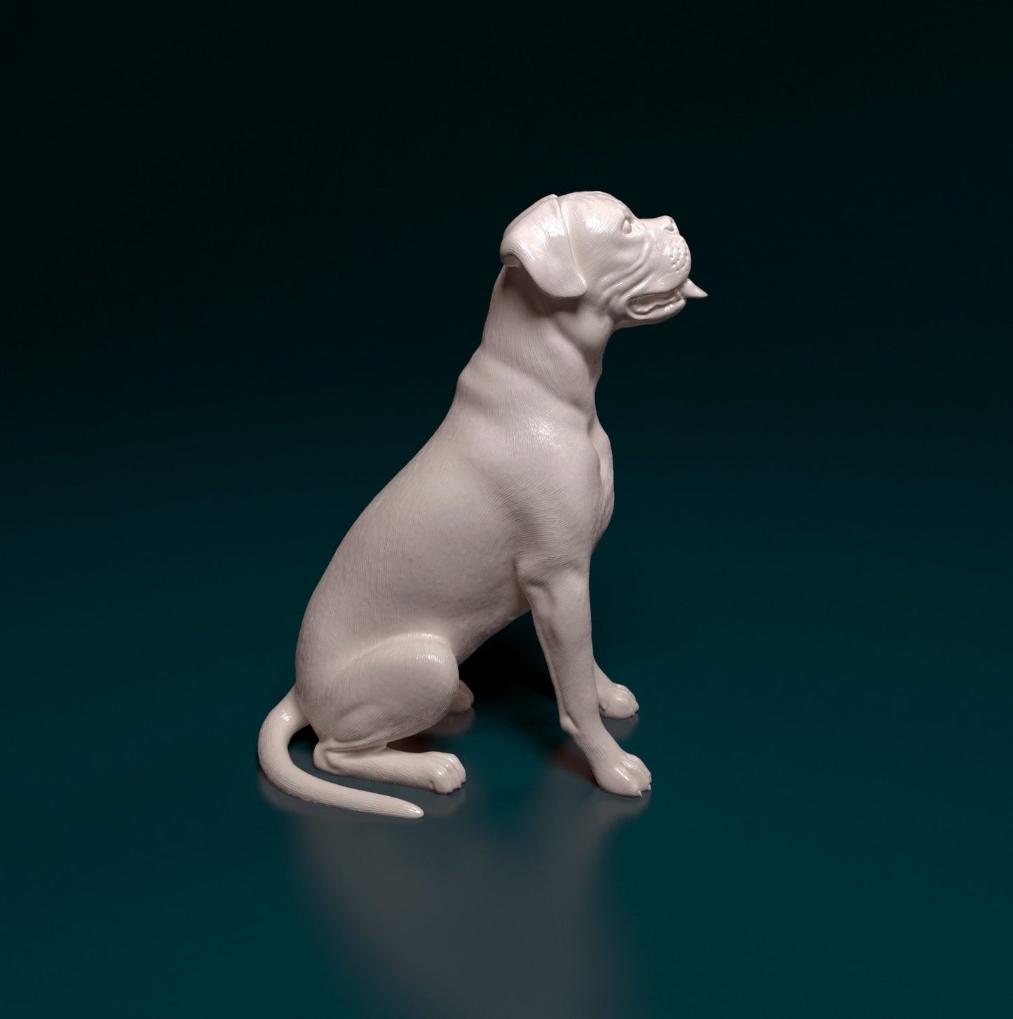 Boxer sitting artist resin - white resin ready to prep / paint ALL SCALES