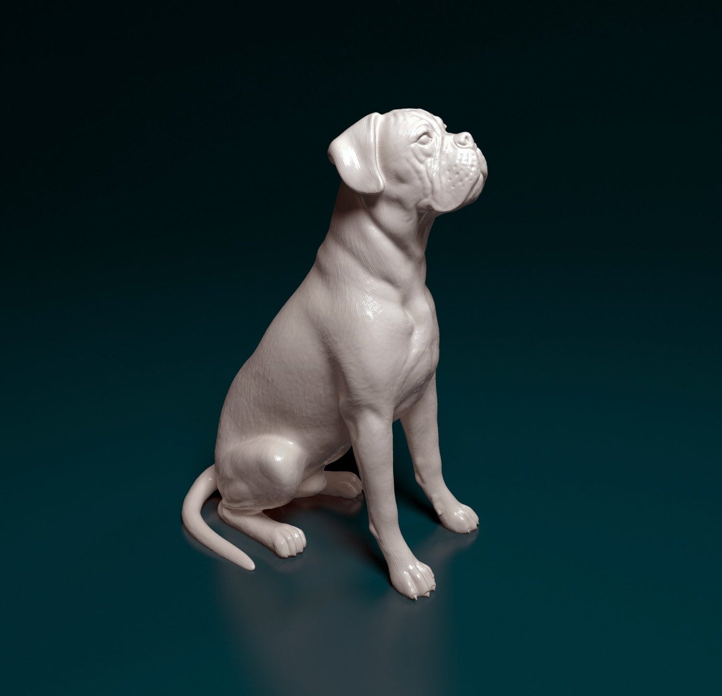Boxer sitting artist resin - white resin ready to prep / paint ALL SCALES