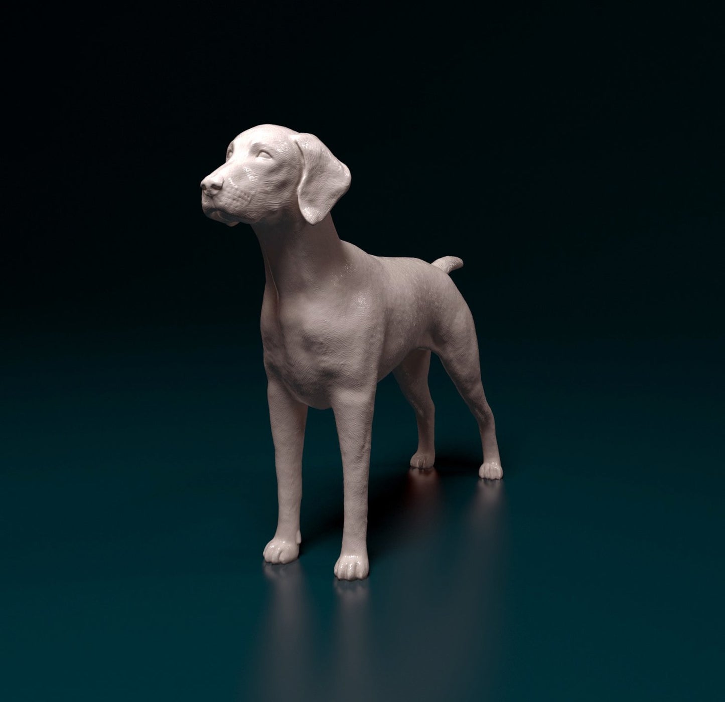 German shorthaired pointer 2 artist resin - white resin ready to prep / paint ALL SCALES