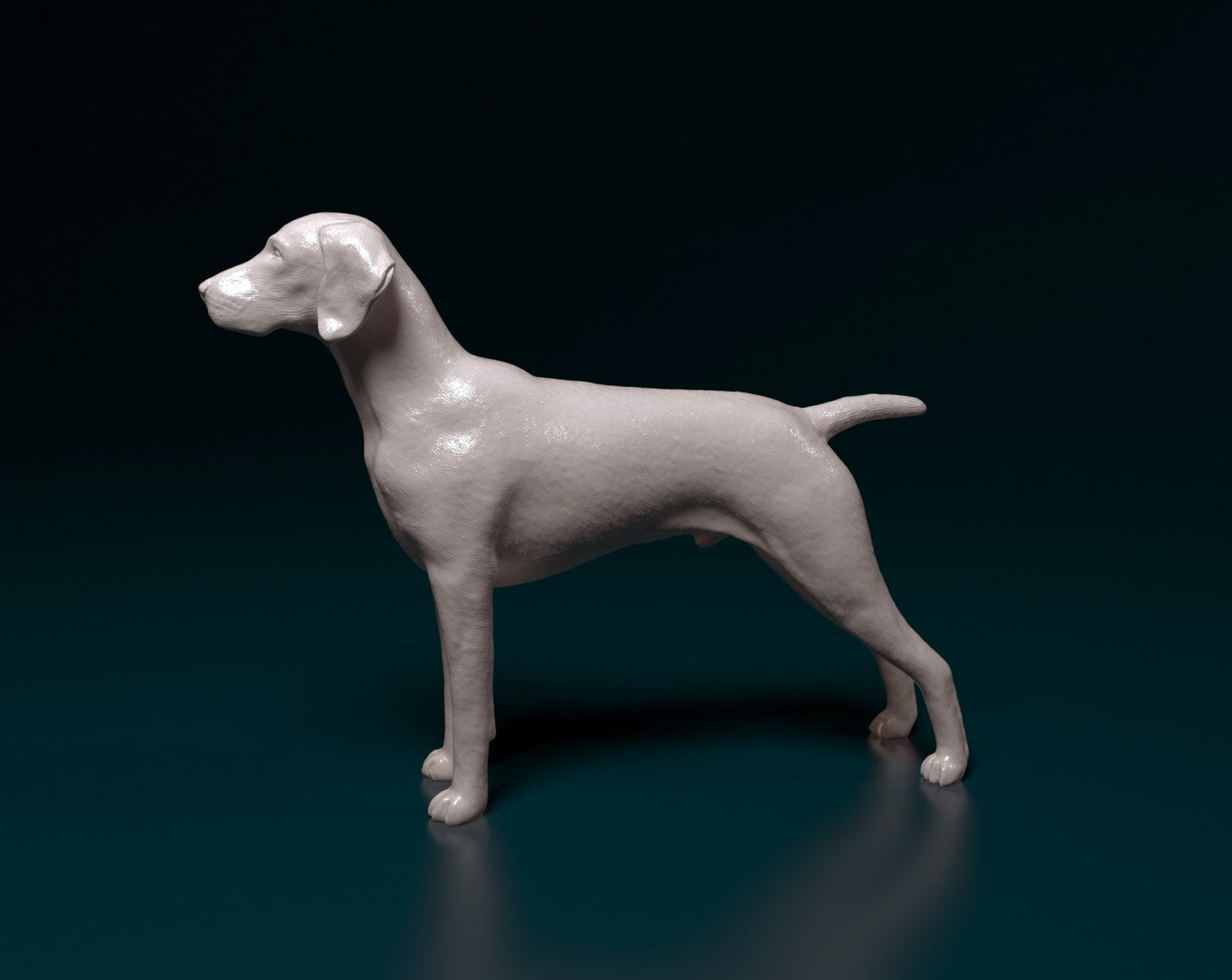 German shorthaired pointer 2 artist resin - white resin ready to prep / paint ALL SCALES