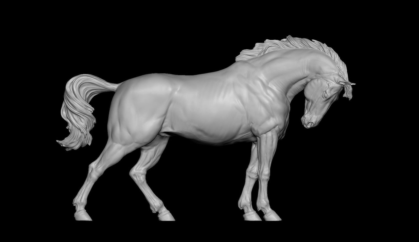 Proud Warmblood - White resin ready to prep / paint LTD EDITION