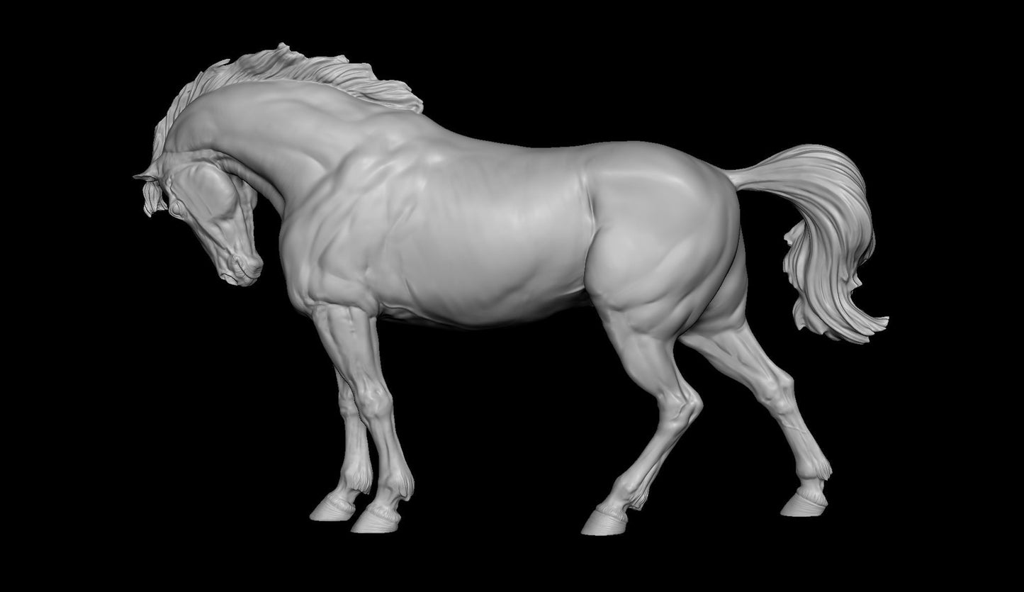 Proud Warmblood - White resin ready to prep / paint LTD EDITION