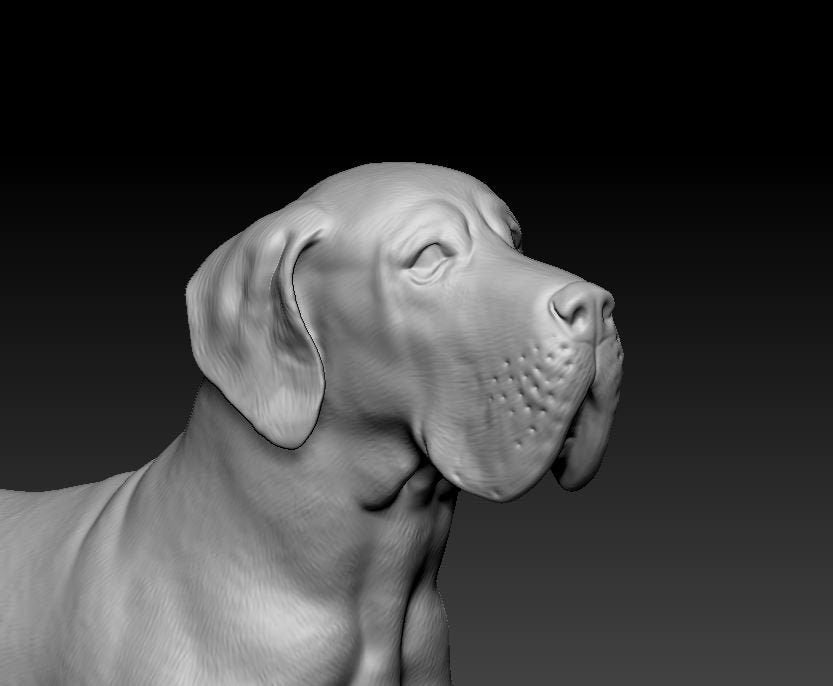Great dane artist resin - white resin ready to prep / paint ALL SCALES