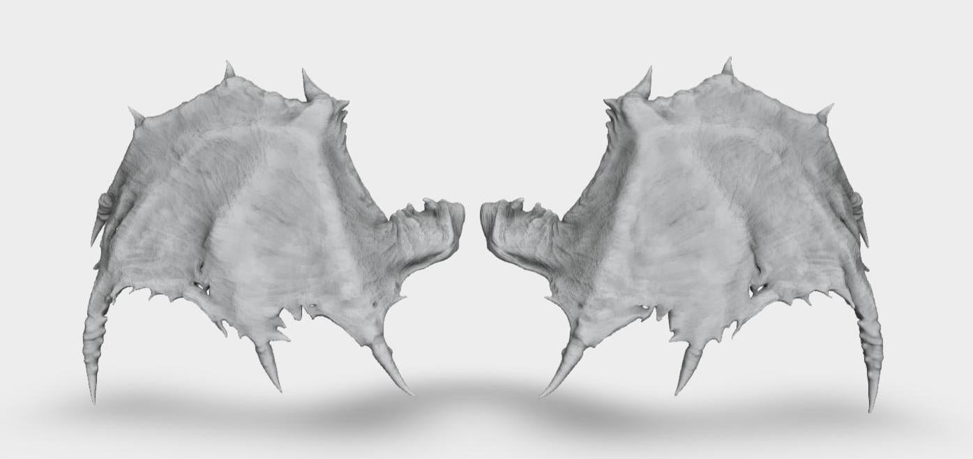 Model horse artist resin bat type 4 wings - White resin - All scales - ready to paint