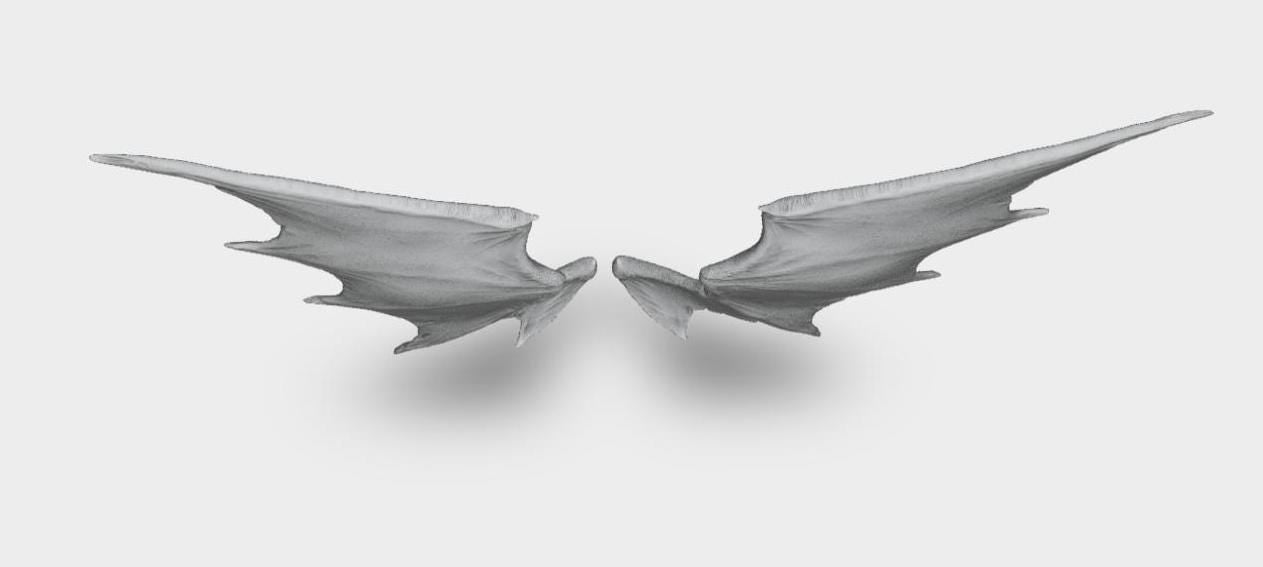 Model horse artist resin bat type 1 wings - White resin - All scales - ready to paint