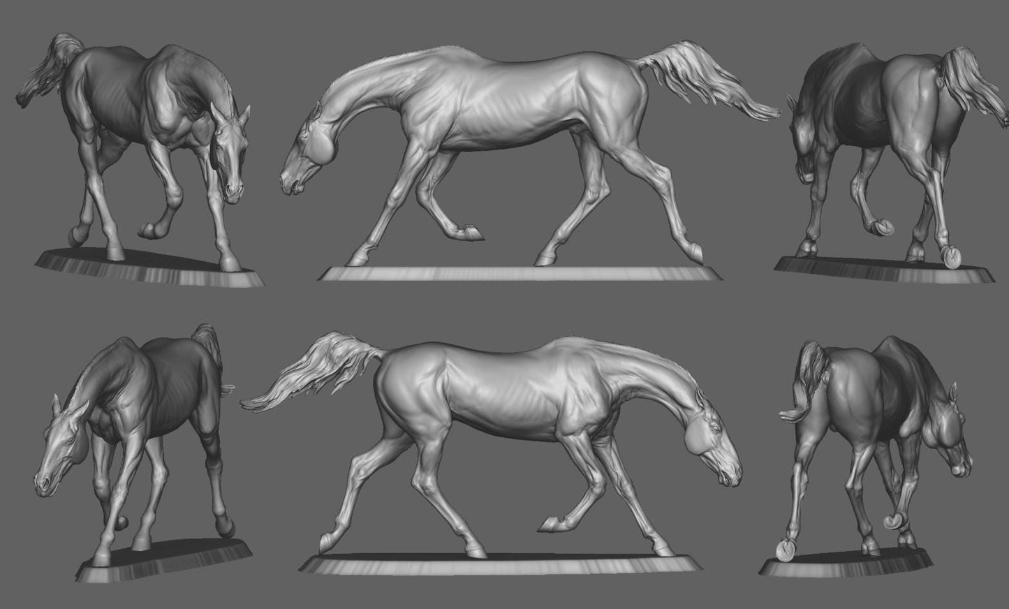 Akhal-Teke stretching model Horse artist resin - White resin figurine - Unpainted