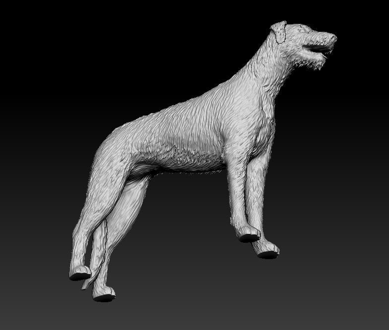 Irish wolfhound artist resin - white resin ready to prep / paint ALL SCALES