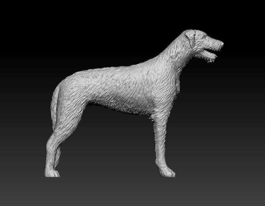Irish wolfhound artist resin - white resin ready to prep / paint ALL SCALES