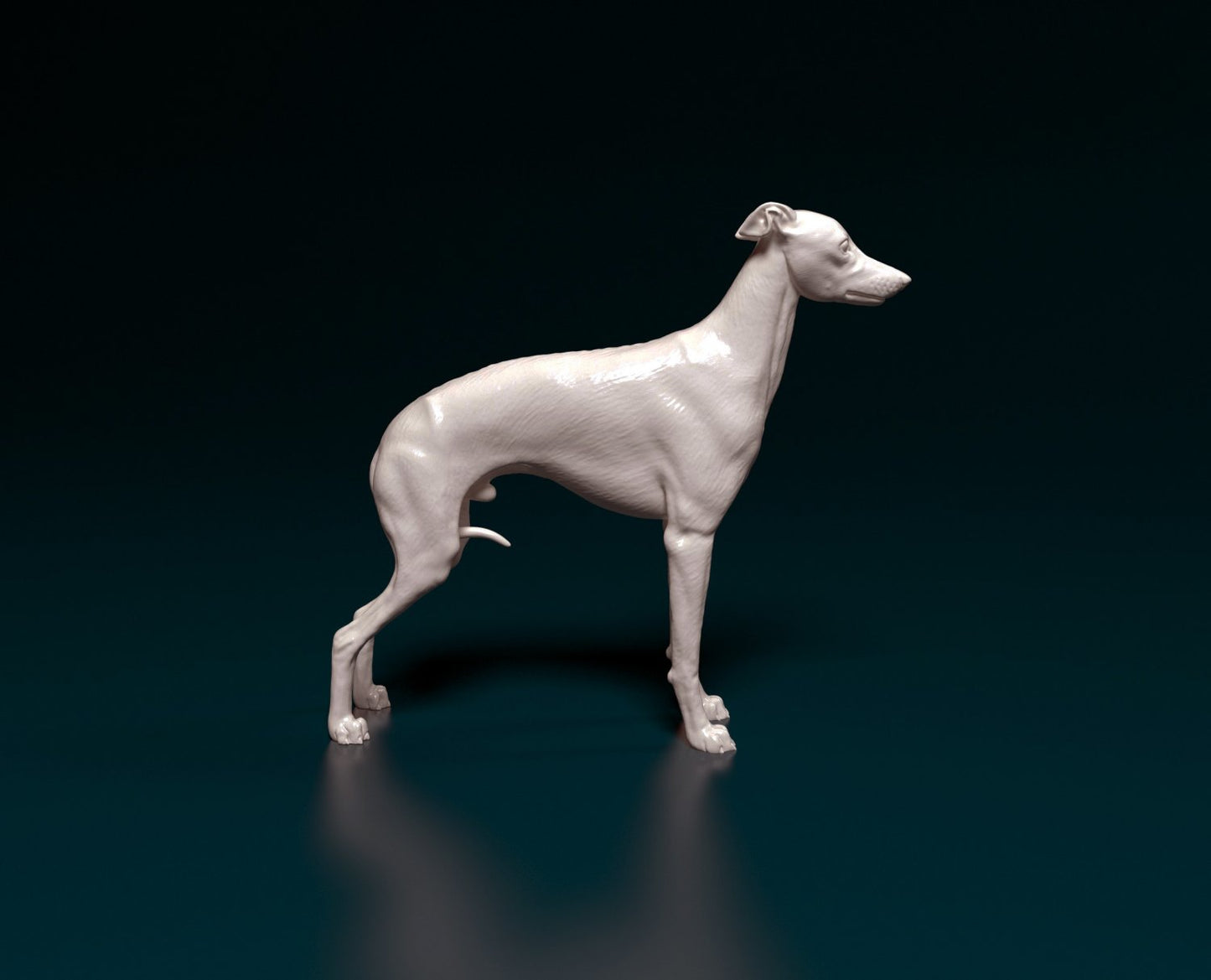 Italian grehound artist resin - white resin ready to prep / paint ALL SCALES