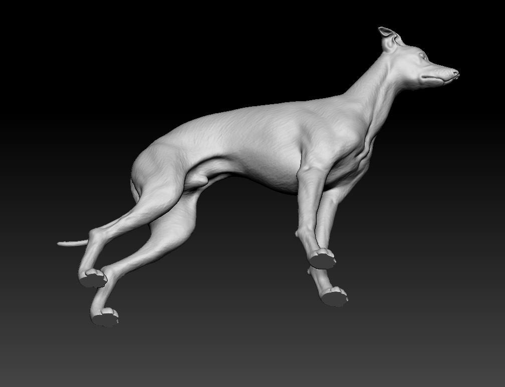 Italian grehound artist resin - white resin ready to prep / paint ALL SCALES