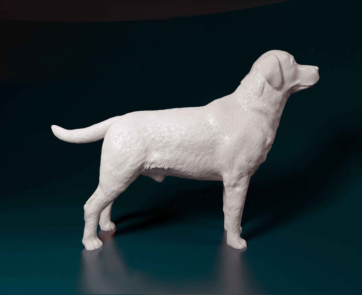 Labrador artist resin - white resin ready to prep / paint ALL SCALES
