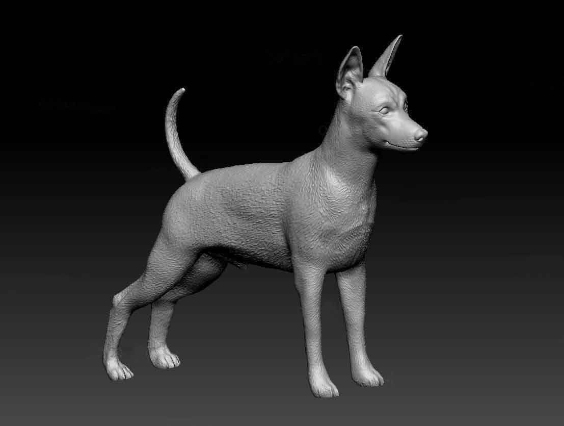 Minature Pinscher artist resin - white resin ready to prep / paint ALL SCALES