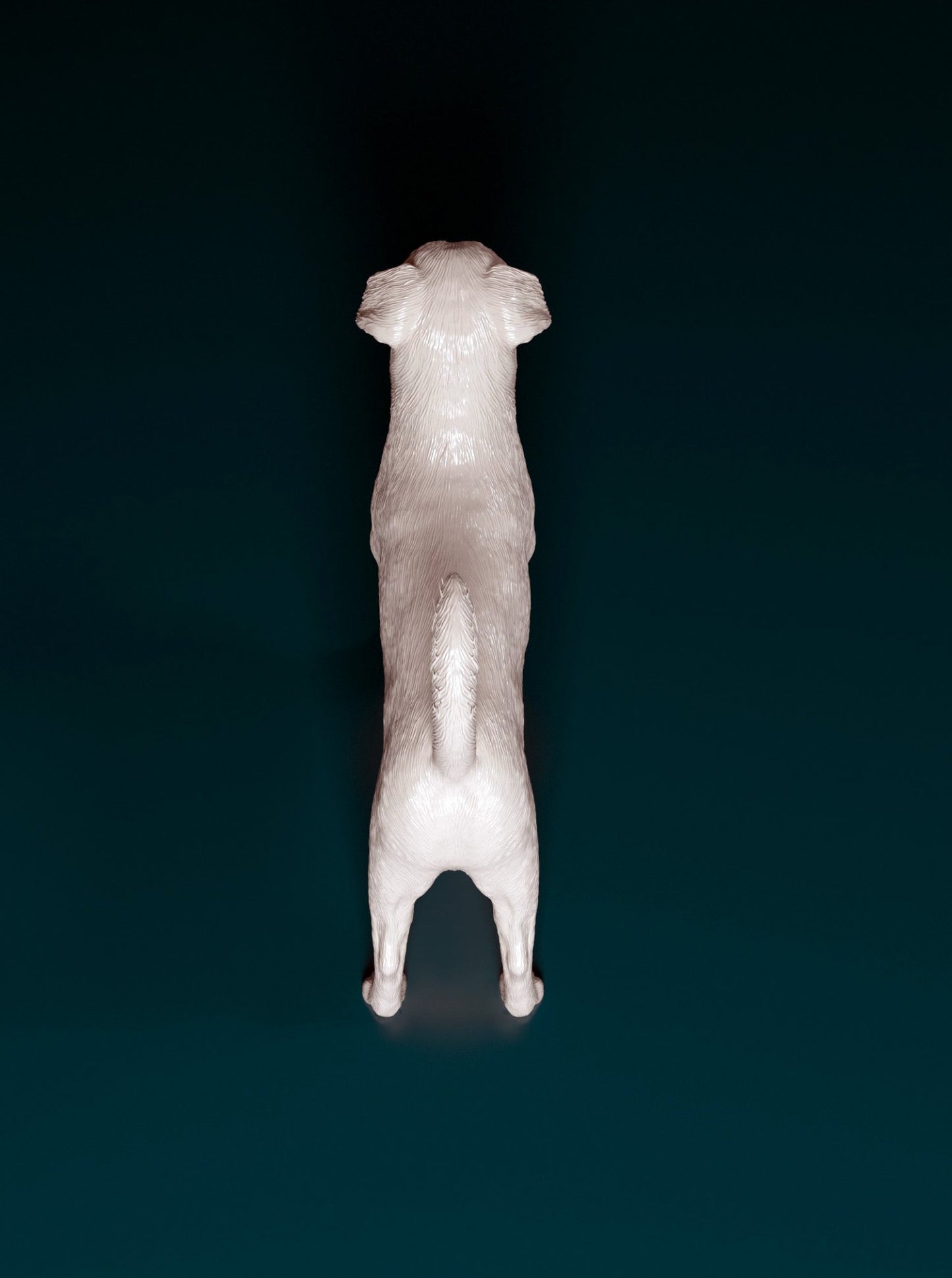 Brussels griffon smooth artist resin - white resin ready to prep / paint ALL SCALES