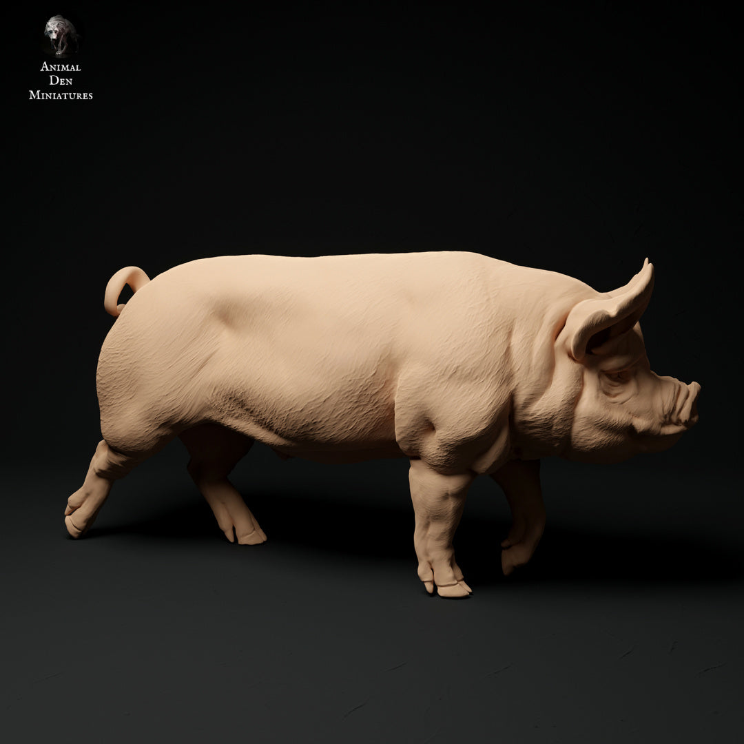 Berkshire boar artist resin - white resin ready to prep / paint ALL SCALES