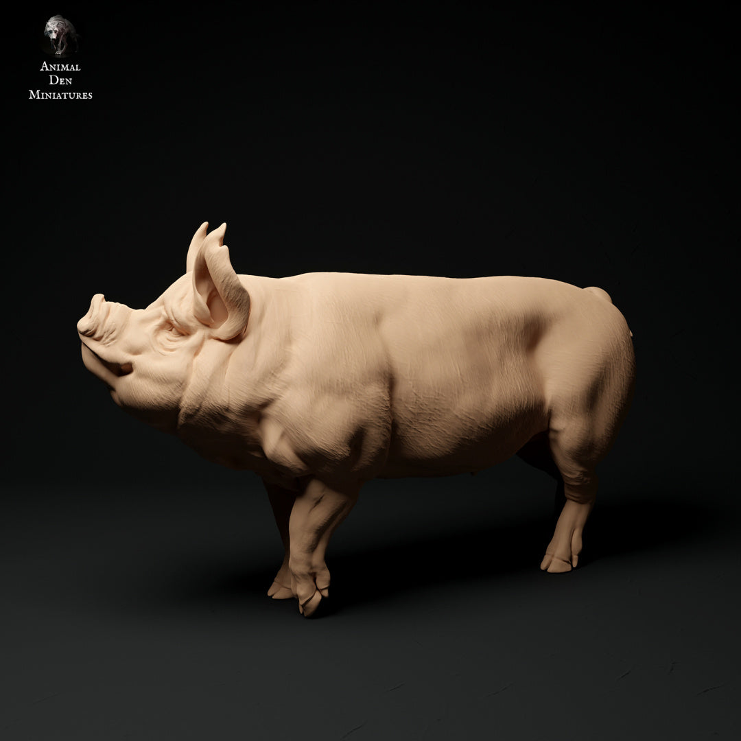 Berkshire pig artist resin - white resin ready to prep / paint ALL SCALES