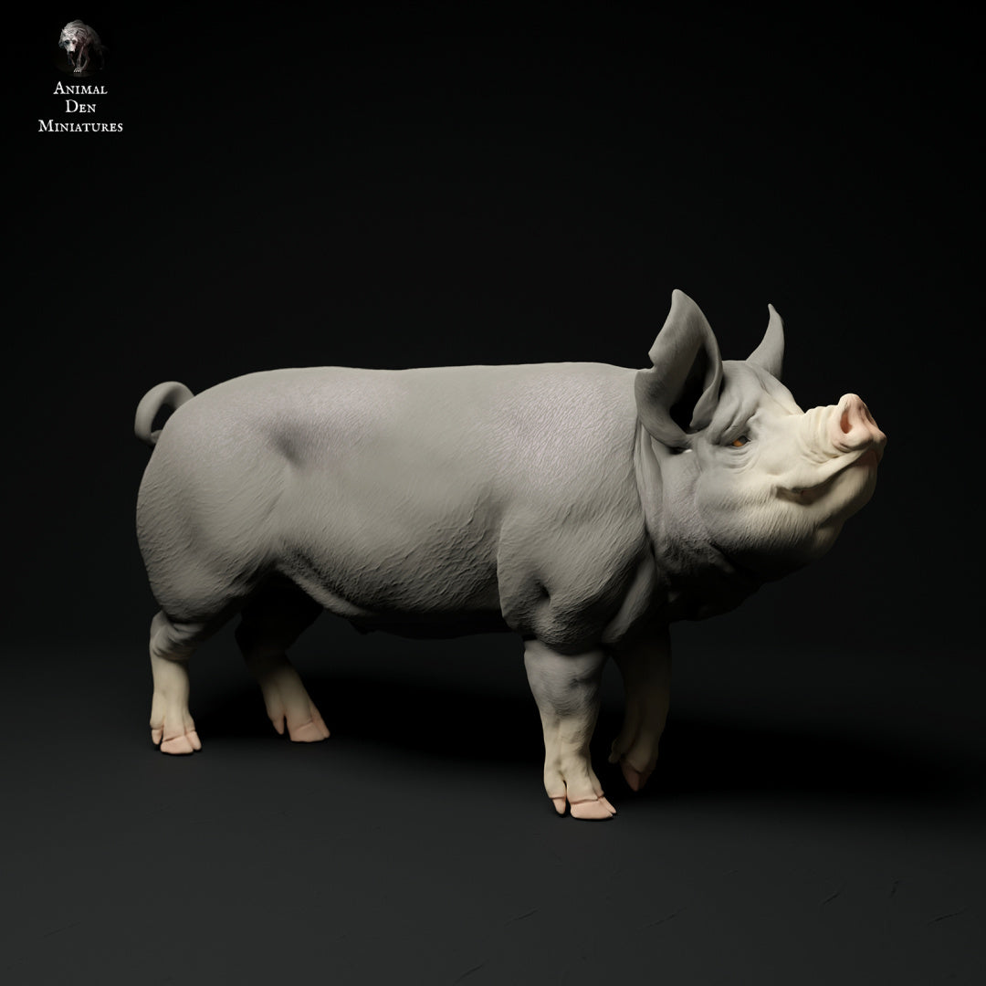 Berkshire pig artist resin - white resin ready to prep / paint ALL SCALES