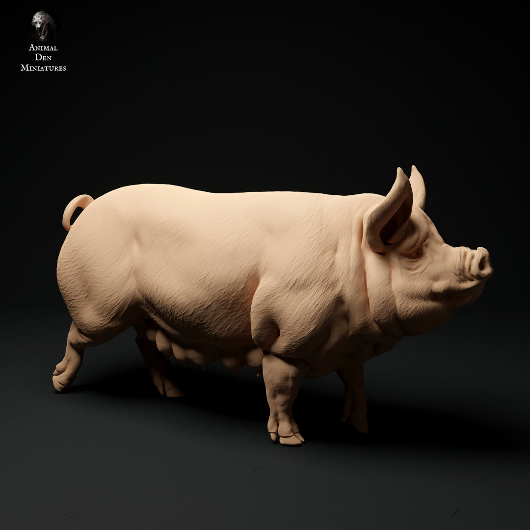 Berkshire pig artist resin - white resin ready to prep / paint ALL SCALES