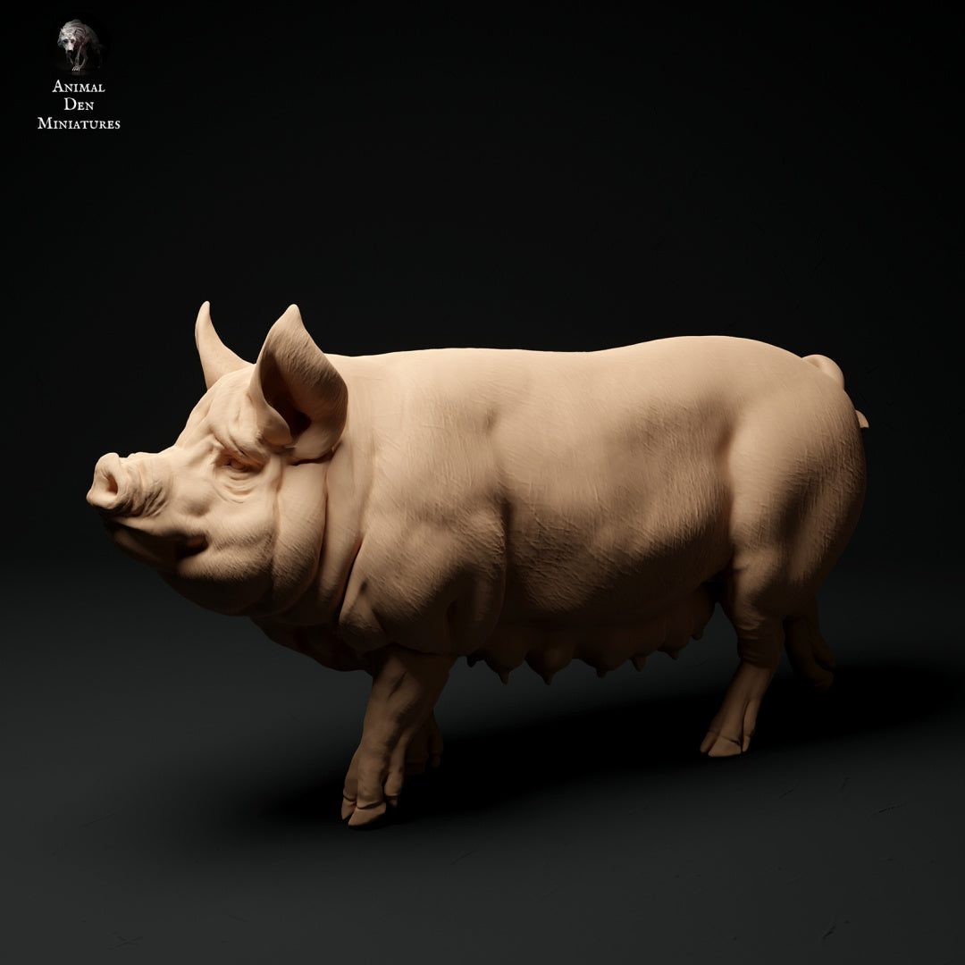Berkshire pig artist resin - white resin ready to prep / paint ALL SCALES