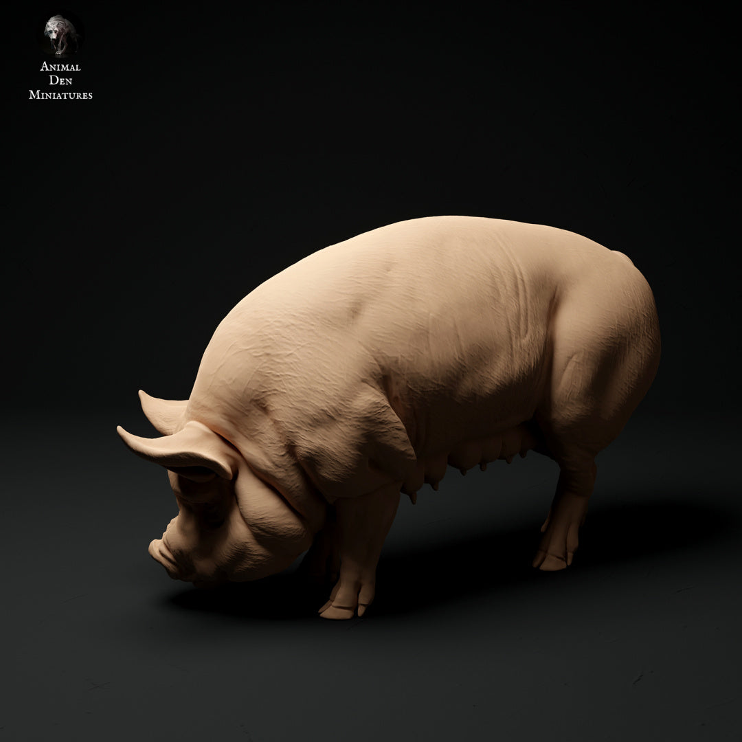 Berkshire pig artist resin - white resin ready to prep / paint ALL SCALES