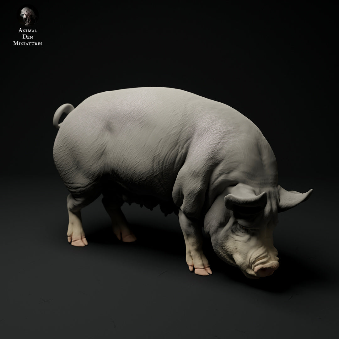 Berkshire pig artist resin - white resin ready to prep / paint ALL SCALES