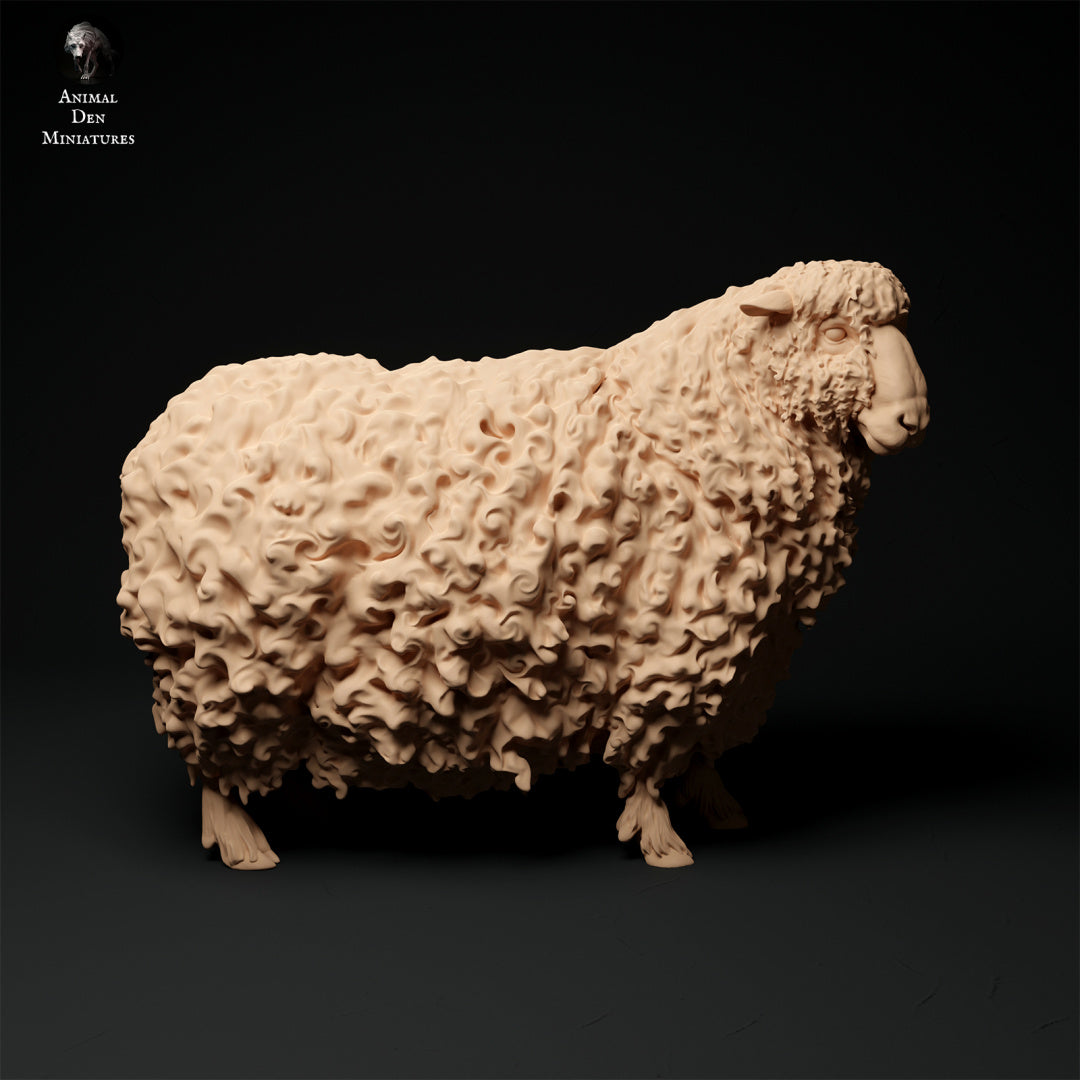 Longwool sheep artist resin - white resin ready to prep / paint ALL SCALES