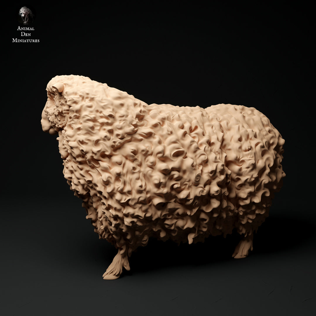 Longwool sheep artist resin - white resin ready to prep / paint ALL SCALES