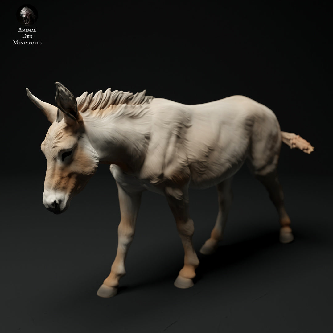 Common Donkey - white resin - ready to prep / paint - many options