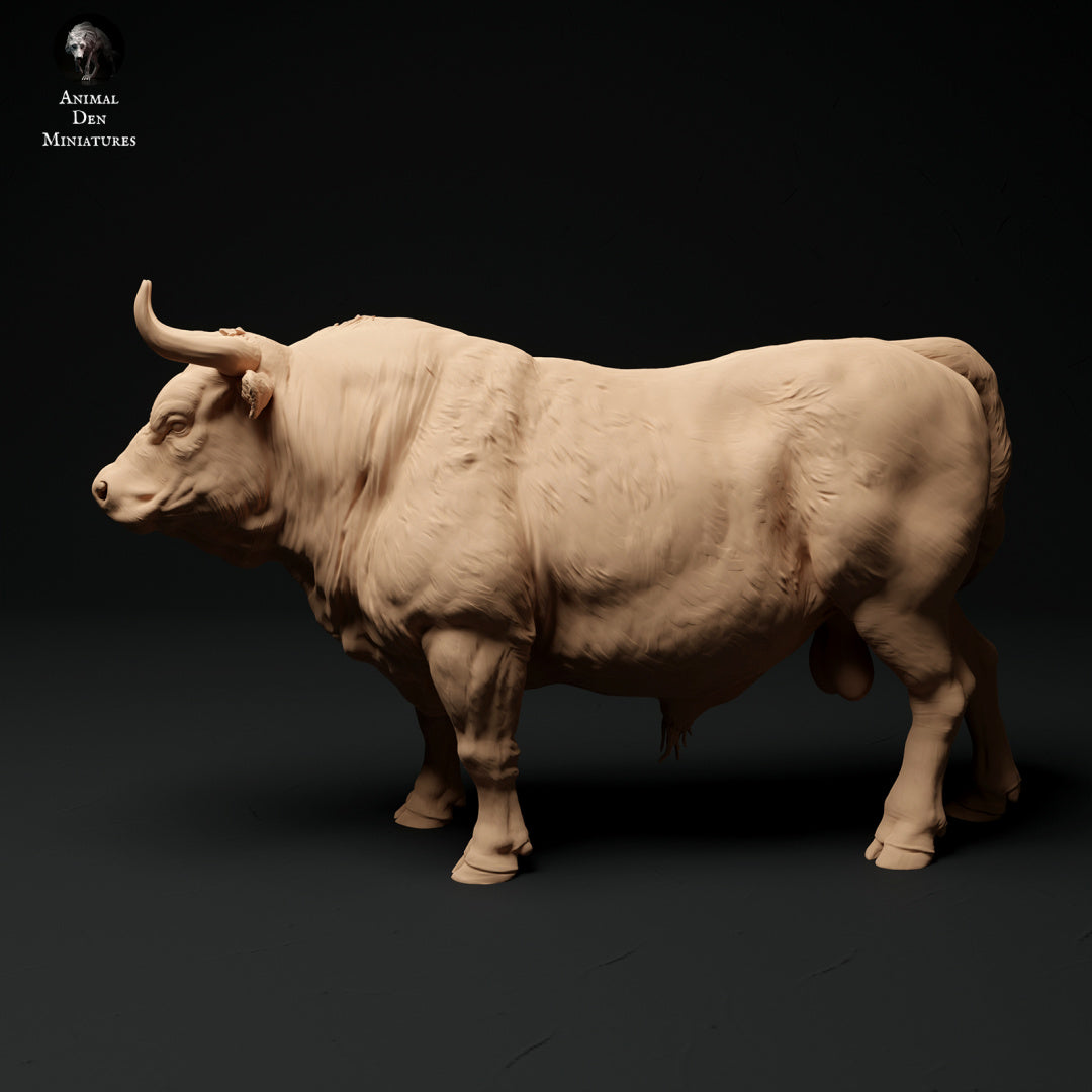 Red Devon bull artist resin - white resin ready to prep / paint ALL SCALES