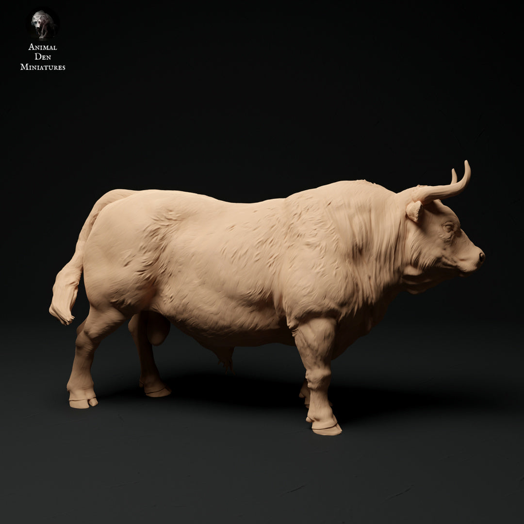 Red Devon bull artist resin - white resin ready to prep / paint ALL SCALES