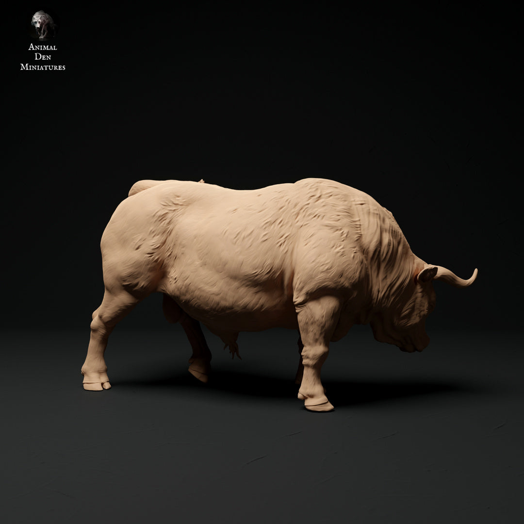 Red Devon bull artist resin - white resin ready to prep / paint ALL SCALES