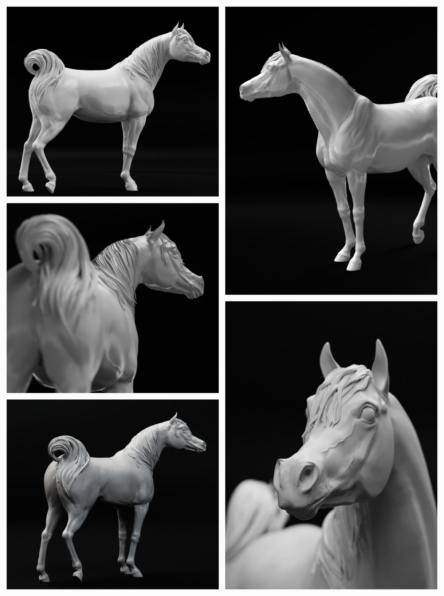 Conner relaxed Arabain Stallion HFH exclusive - White resin ready to prep / paint LTD EDITION