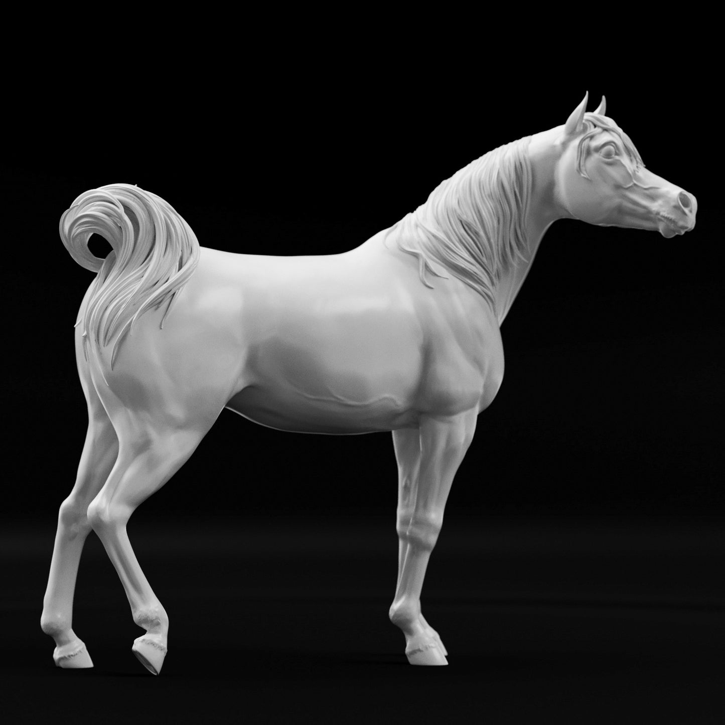 Conner relaxed Arabain Stallion HFH exclusive - White resin ready to prep / paint LTD EDITION