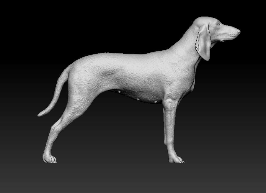 Seguigo italiano dog artist resin - white resin ready to prep / paint ALL SCALES